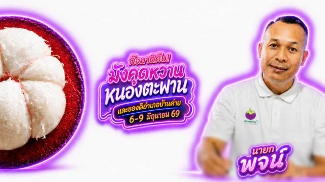 งานมังคุด