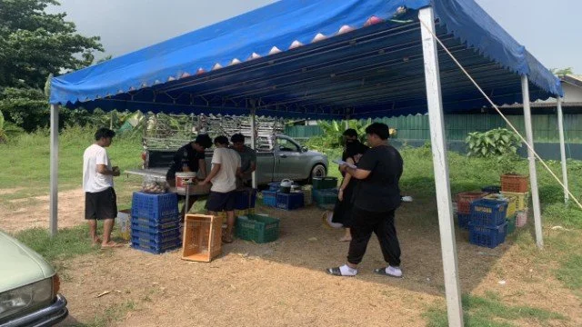 รับซื้อมังคุด หน้าวัดปากป่า