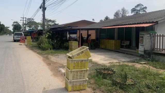 รับซื้อมังคุด บนถนนเส้นแหลมเหียง