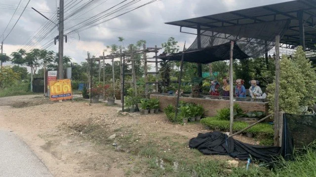 ร้าน ในสวนฝัน จำหน่ายต้นไม้รับจัดสวน